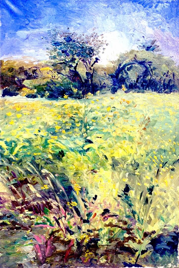 A field in a Village, 1996, oil on canvas, 91 x 61cm
